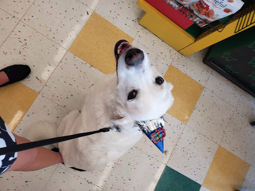 Pet Supply Store «Pet Supplies Plus», reviews and photos, 2100 W Grand River Ave, Okemos, MI 48864, USA