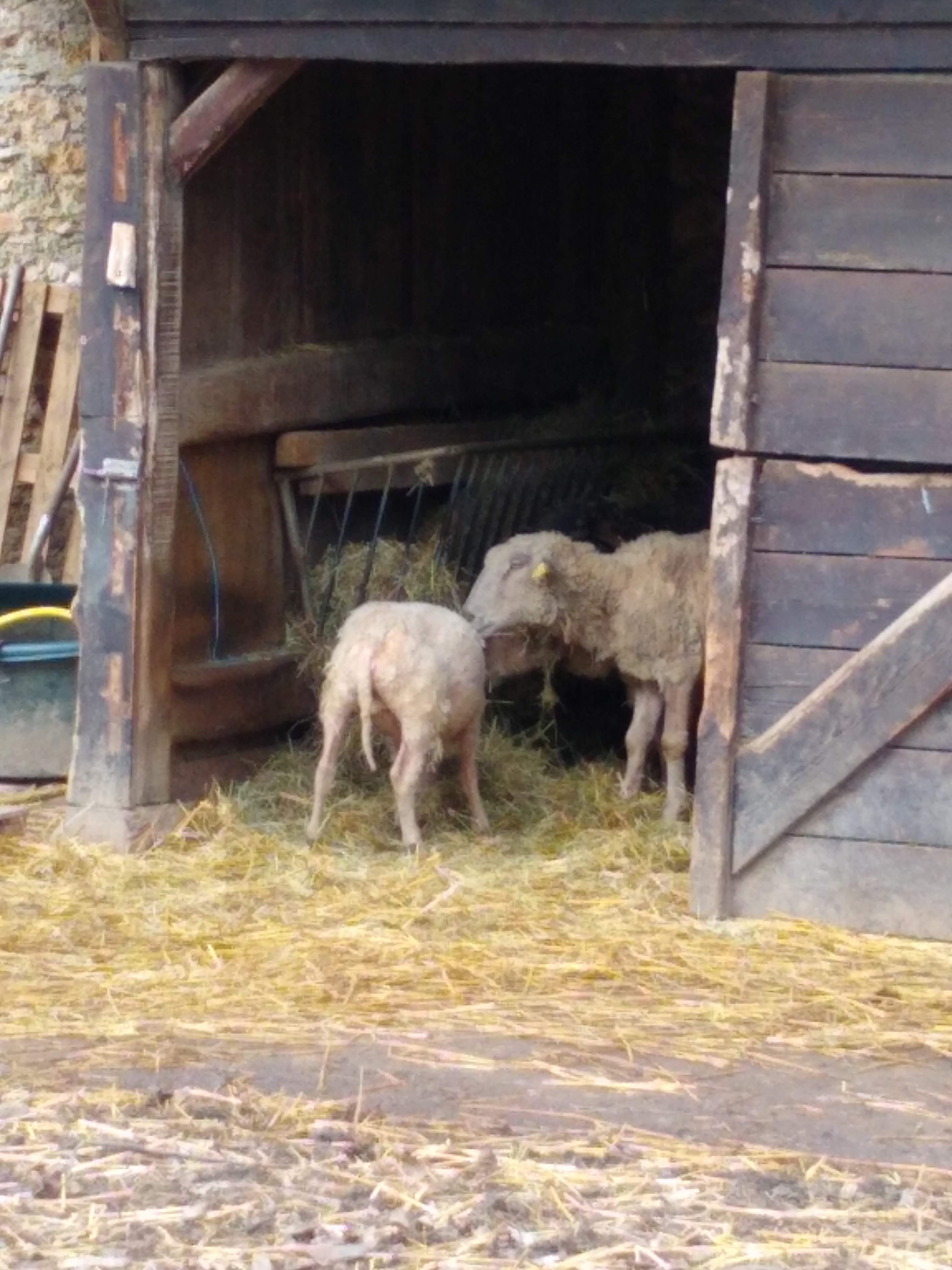 Photo n° 9 de l'avis de Marjorie.e fait le 04/03/2019 à 14:09
