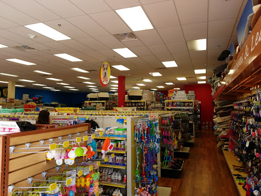 Pet Store «Pet Supermarket, Inc.», reviews and photos, 1938 FL-44 #40, New Smyrna Beach, FL 32168, USA