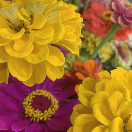 Florist «Garden Delights Fine Florist», reviews and photos, 2179 Hillsboro Rd, Franklin, TN 37069, USA