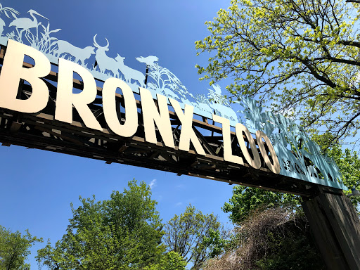 Park «River Park», reviews and photos, Boston Rd, Bronx, NY 10460, USA