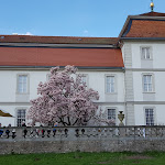 Photo n°1 de l'avis de Tatjana.r fait le 07/04/2019 à 15:58 sur le  Schlossrestaurant und -café Die Fasanerie à Eichenzell