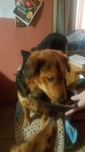 Pet Supply Store «Petco Animal Supplies», reviews and photos, 200 McMahan Blvd, Marion, OH 43302, USA