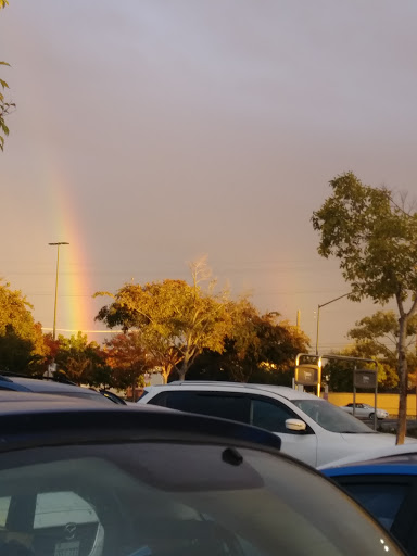 Grocery Store «Safeway», reviews and photos, 10635 Folsom Blvd, Rancho Cordova, CA 95670, USA