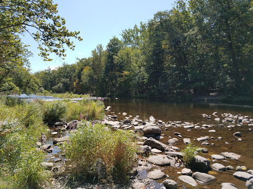 D & H Canal Park image 3