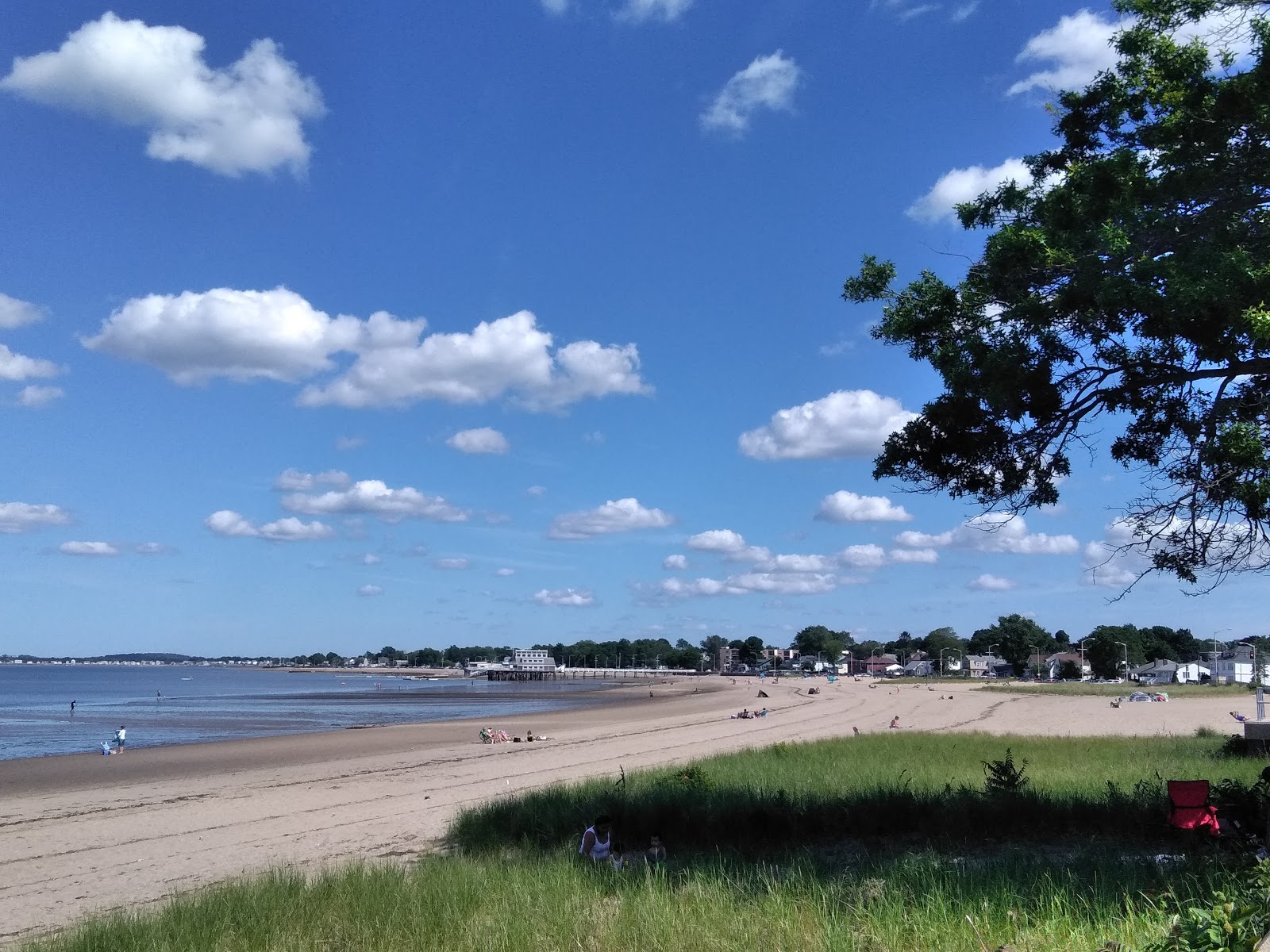 Wollaston beach'in fotoğrafı çok temiz temizlik seviyesi ile