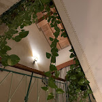 Photo n°1 de l'avis de Beau.a fait le 05/11/2022 à 08:25 sur le  Hotel David à Florence