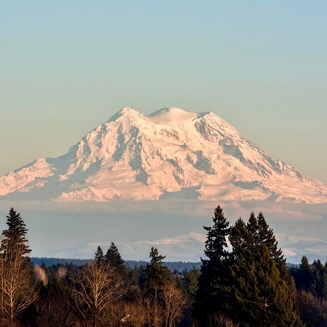 Karen Nichols ARNP 98597