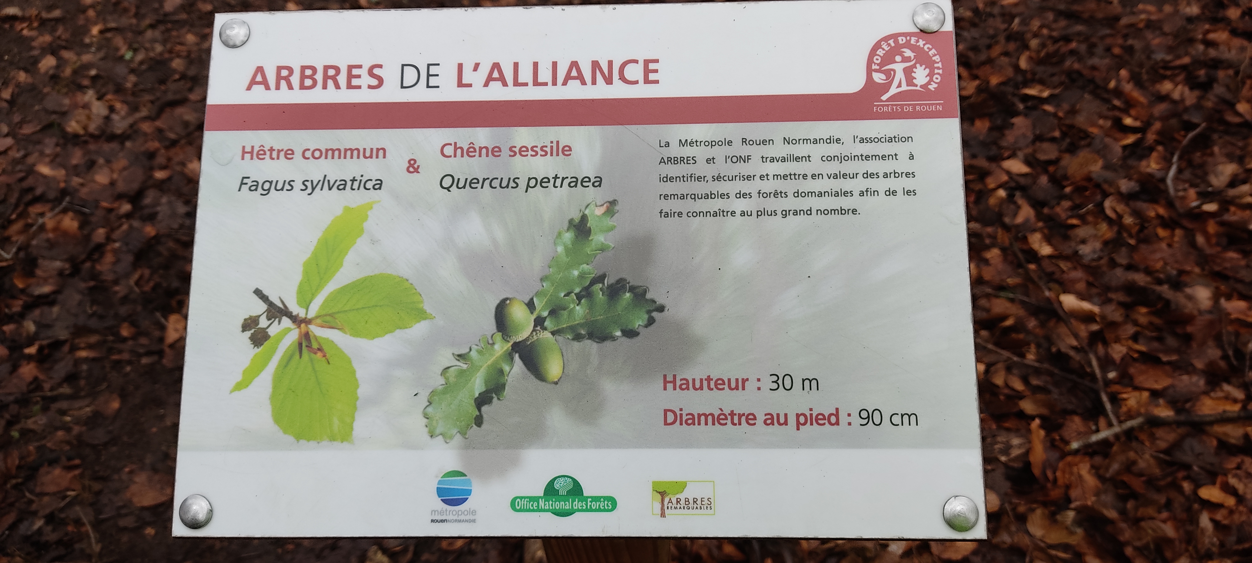 Photo n° 8 de l'avis de Marie.r fait le 02/02/2022 à 15:06