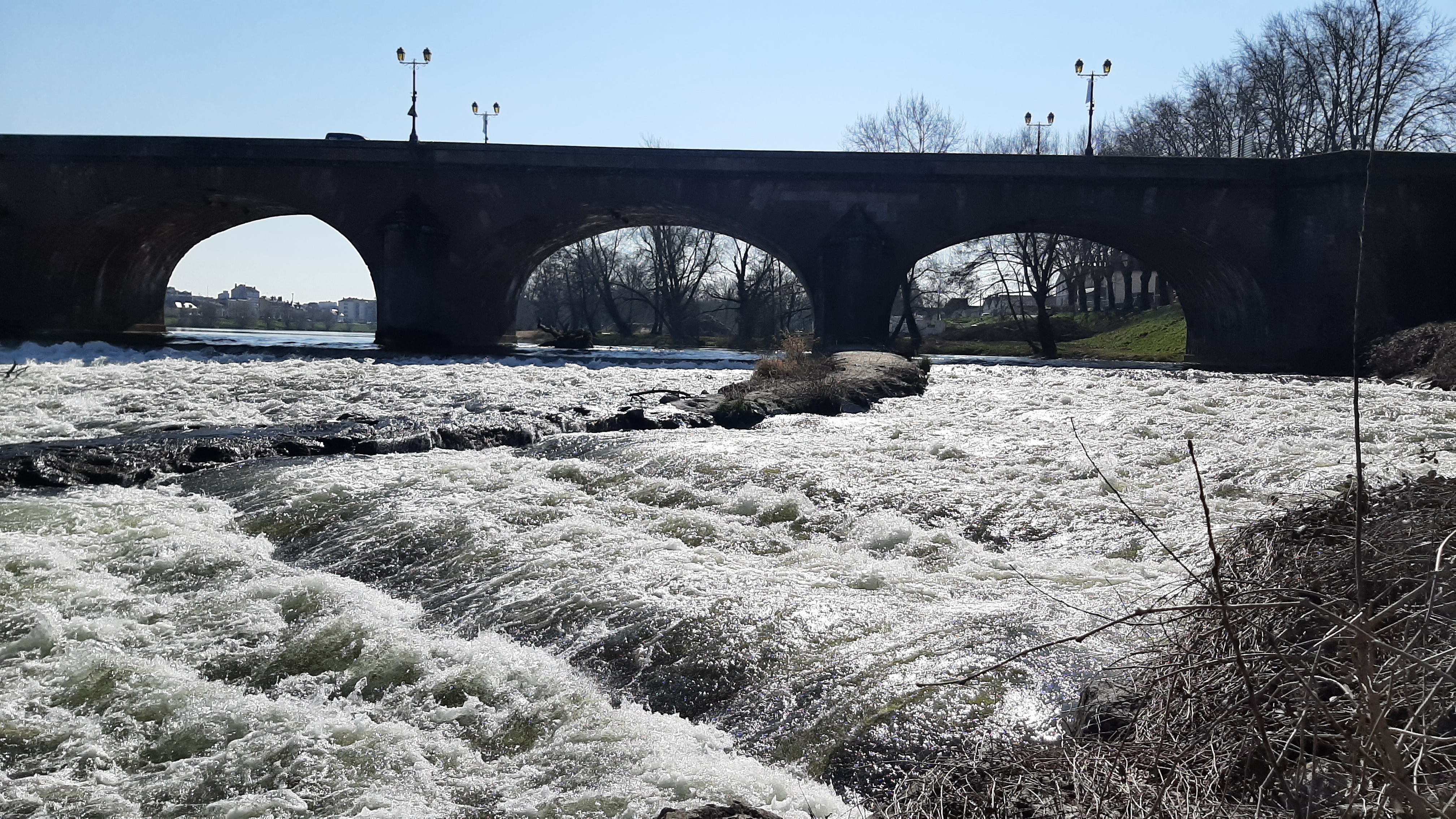 Photo n° 23 de l'avis de Raymond.e fait le 07/03/2022 à 15:51