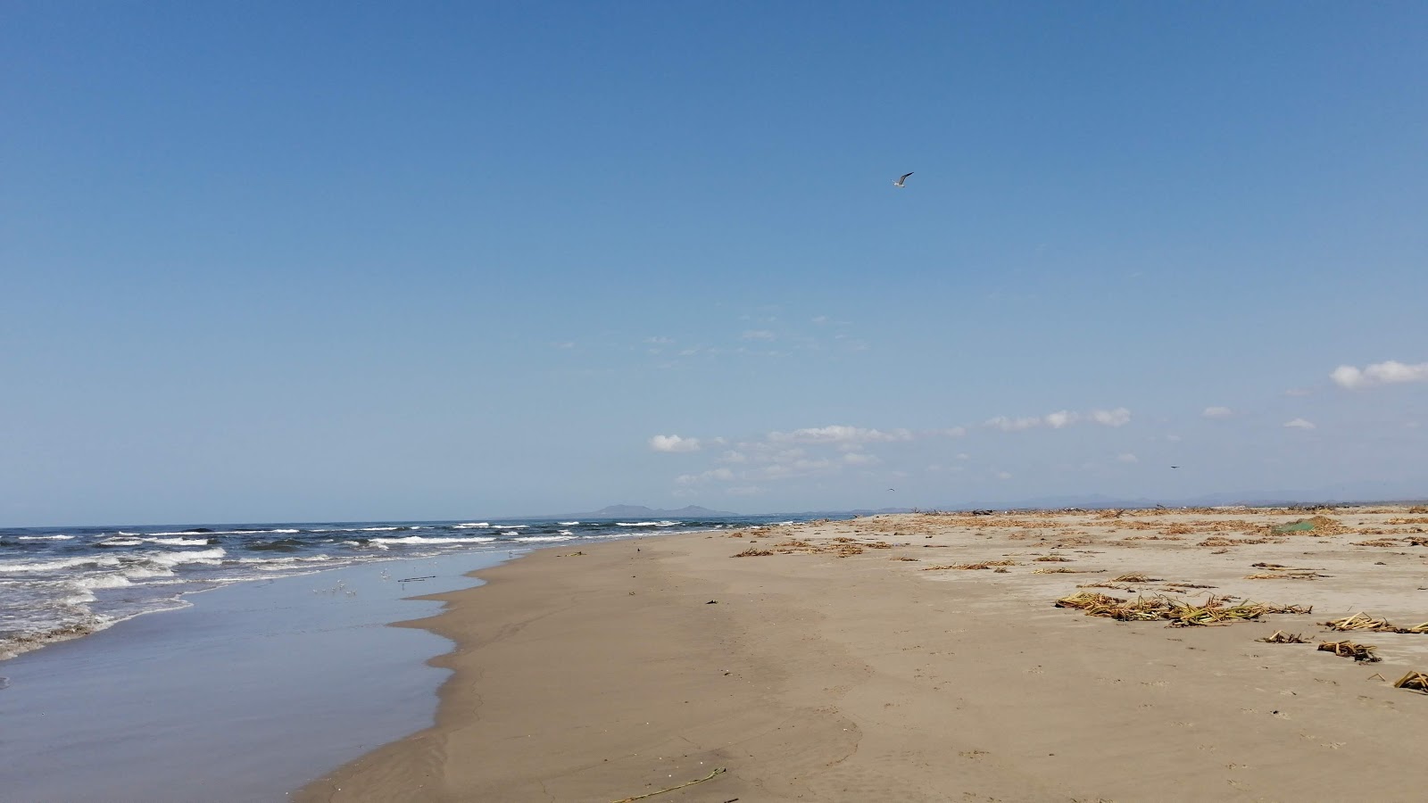 Foto di Playa Palapa con molto pulito livello di pulizia