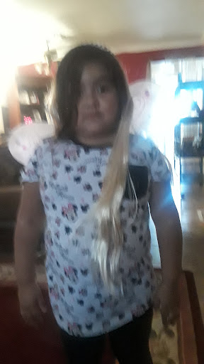 Pet Supply Store «Petco Animal Supplies», reviews and photos, 4325 Lovers Ln, Dallas, TX 75225, USA