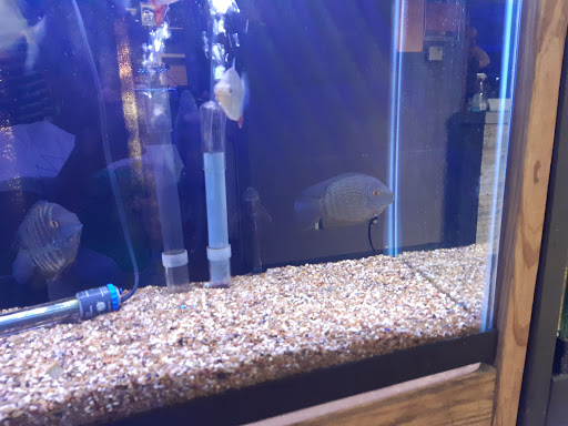 Tropical Fish Store «River City Aquatics», reviews and photos, 12108 Roxie Dr, Austin, TX 78729, USA