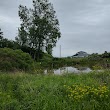 Wetlands County Park