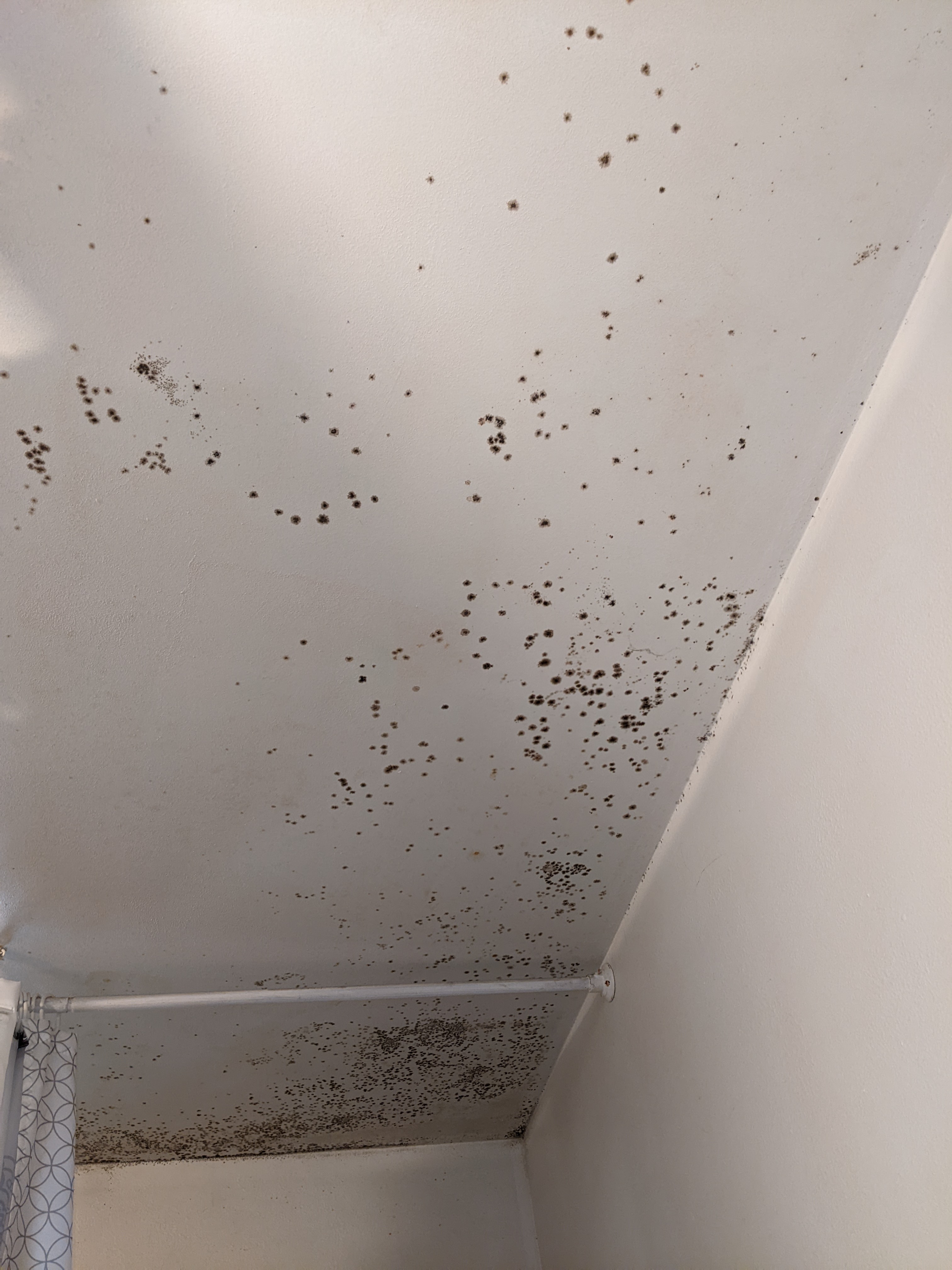 Photo n° 4 de l'avis de Frédérique.e fait le 19/09/2023 à 10:28