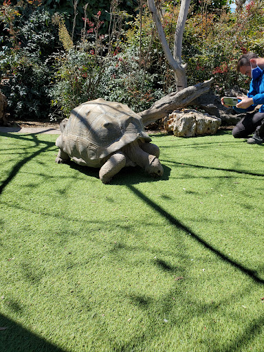 Aquarium «Audubon Aquarium of the Americas», reviews and photos, 1 Canal St, New Orleans, LA 70130, USA