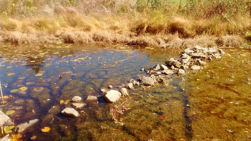 Park «Ellanor C. Lawrence Park», reviews and photos, 5040 Walney Rd, Chantilly, VA 20151, USA