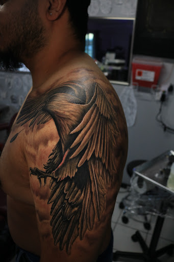 Explore seagull tattoo ideas, creative tattoo ideas in Yakima, available at Inkarnation Tattoo