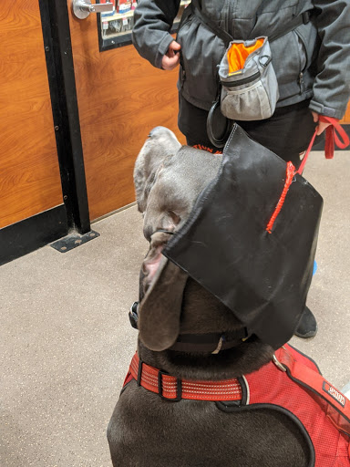 Pet Supply Store «PetSmart», reviews and photos, 5001 Sergeant Rd, Sioux City, IA 51106, USA