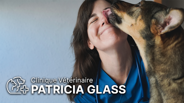 Clinique Vétérinaire Patricia Glass