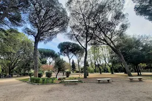 Parco Virgiliano image