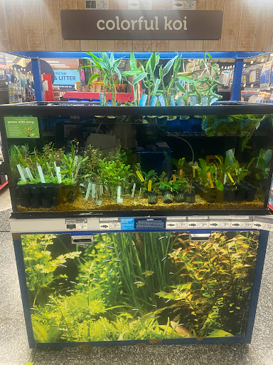 Pet Supply Store «Petco Animal Supplies», reviews and photos, 430 N Euclid St, Anaheim, CA 92801, USA