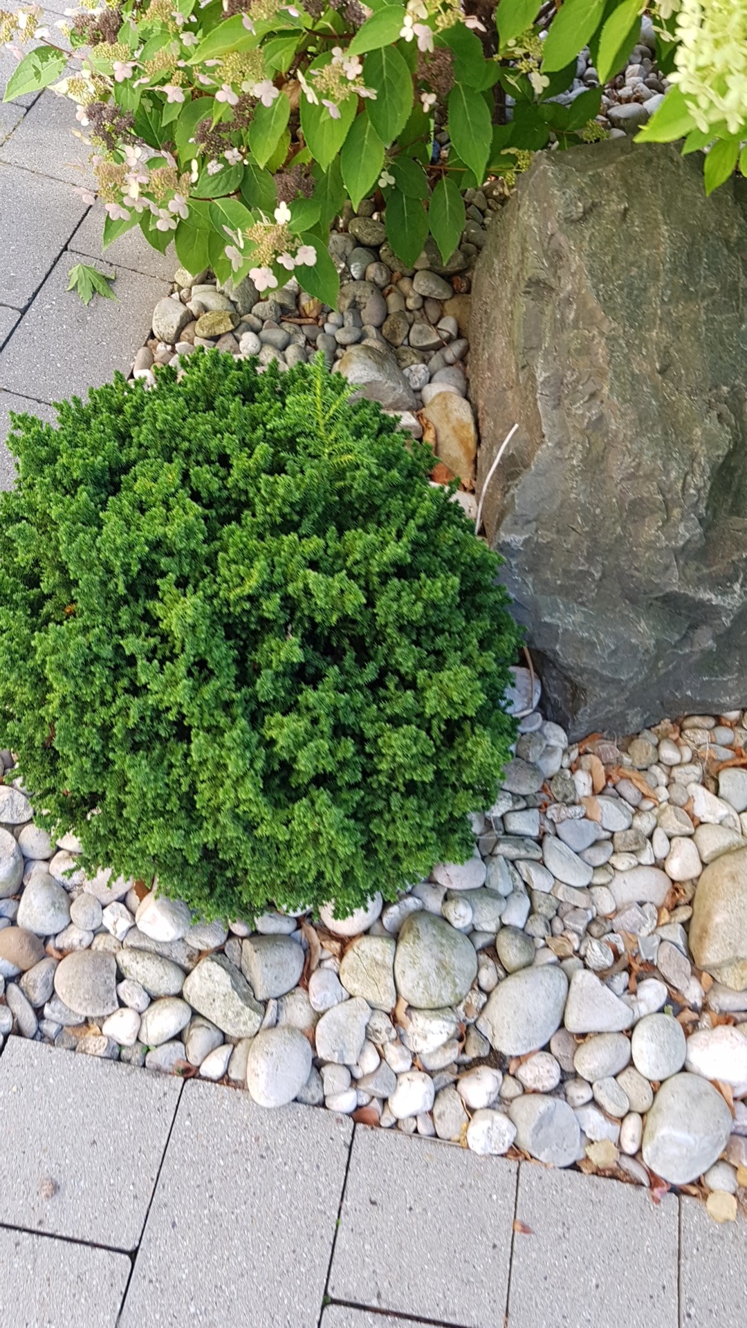 Photo n° 34 de l'avis de hugo.l fait le 20/08/2018 à 15:25