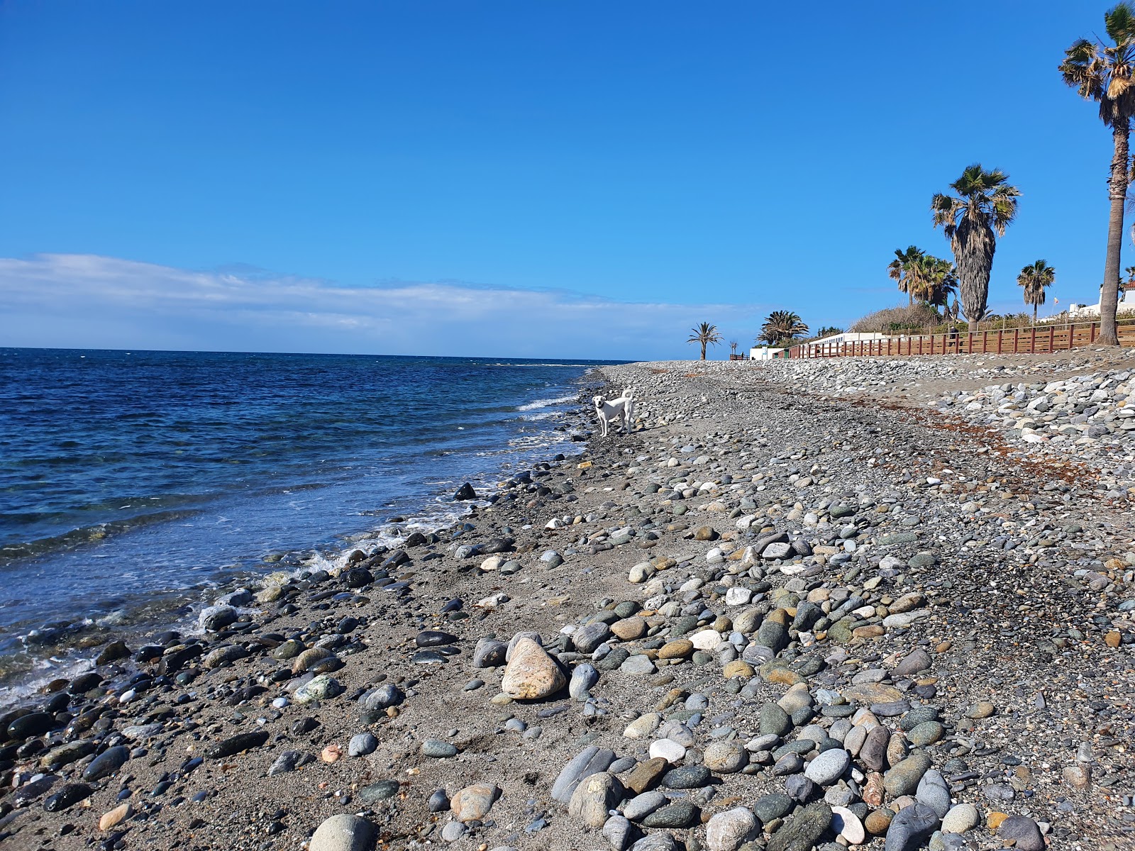 Foto von Playa Canina Ventura del Mar - beliebter Ort unter Entspannungskennern
