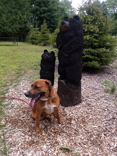 Nature Preserve «DeGraaf Nature Center», reviews and photos, 600 Graafschap Rd, Holland, MI 49423, USA