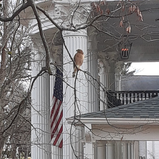 Day Spa «The Spa On Green Street», reviews and photos, 635 Green St, Gainesville, GA 30501, USA