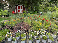 Late Bloomers Nursery & Landscaping - Photo 5 - Car repair in Mt Holly, NC, Gastonia