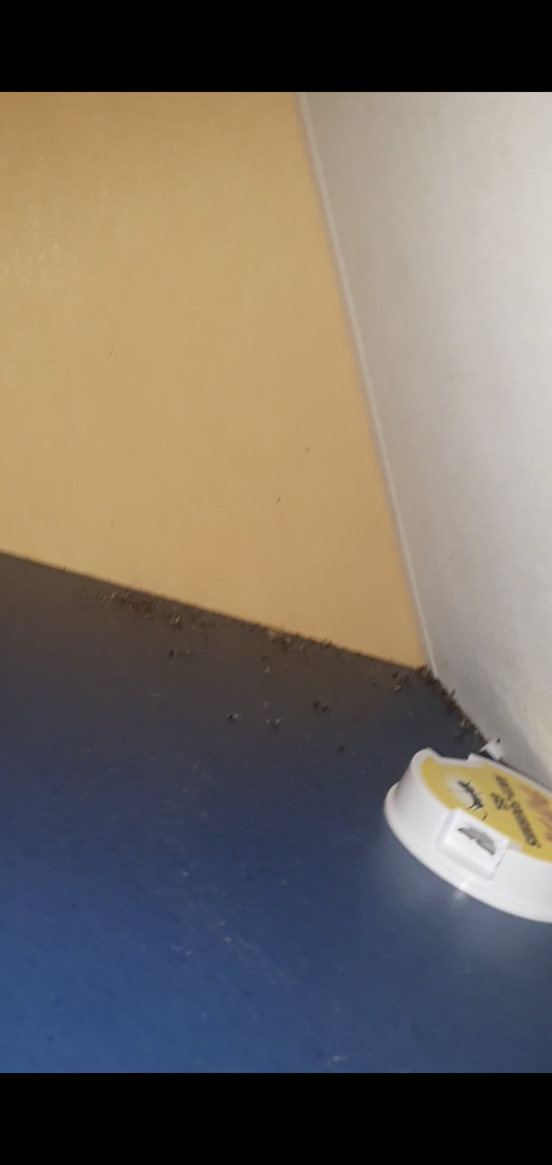 Photo n° 2 de l'avis de Sanah.a fait le 24/07/2021 à 12:40