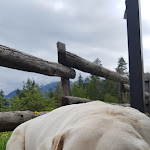 Photo n°2 de l'avis de samantha.o fait le 21/08/2019 à 13:21 sur le  Rifugio Gortani à Malborghetto Valbruna