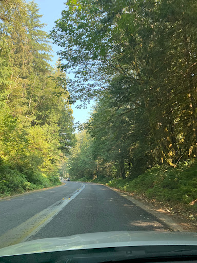 Campground «Winthrop / N. Cascades National Park KOA», reviews and photos