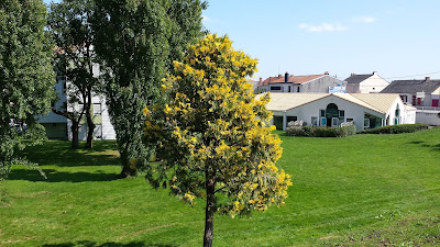 CREPS Centre Sports et Loisirs à La Roche-sur-Yon