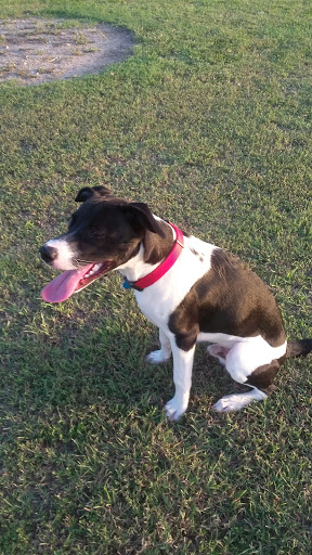 Park «Victor Park», reviews and photos, 1601 S M St, Harlingen, TX 78550, USA