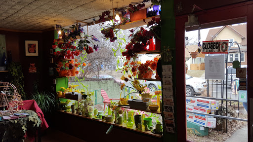 Florist «Acanthus Floral Art», reviews and photos, 3932 Cedar Ave S, Minneapolis, MN 55407, USA