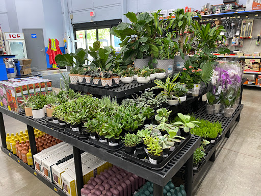 Discount Store «Walmart», reviews and photos, 2375 OR-99W, McMinnville, OR 97128, USA