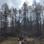 Photo n°20 de l'avis de Nuccia.r fait le 20/04/2019 à 12:43 sur le  Il Piccolo Chalet à Aprica