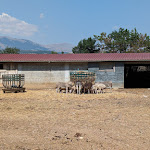 Photo n°1 de l'avis de Fabio.r fait le 29/08/2023 à 20:57 sur le  AGRITURISMO LA VILLA à Villa Sant'Angelo