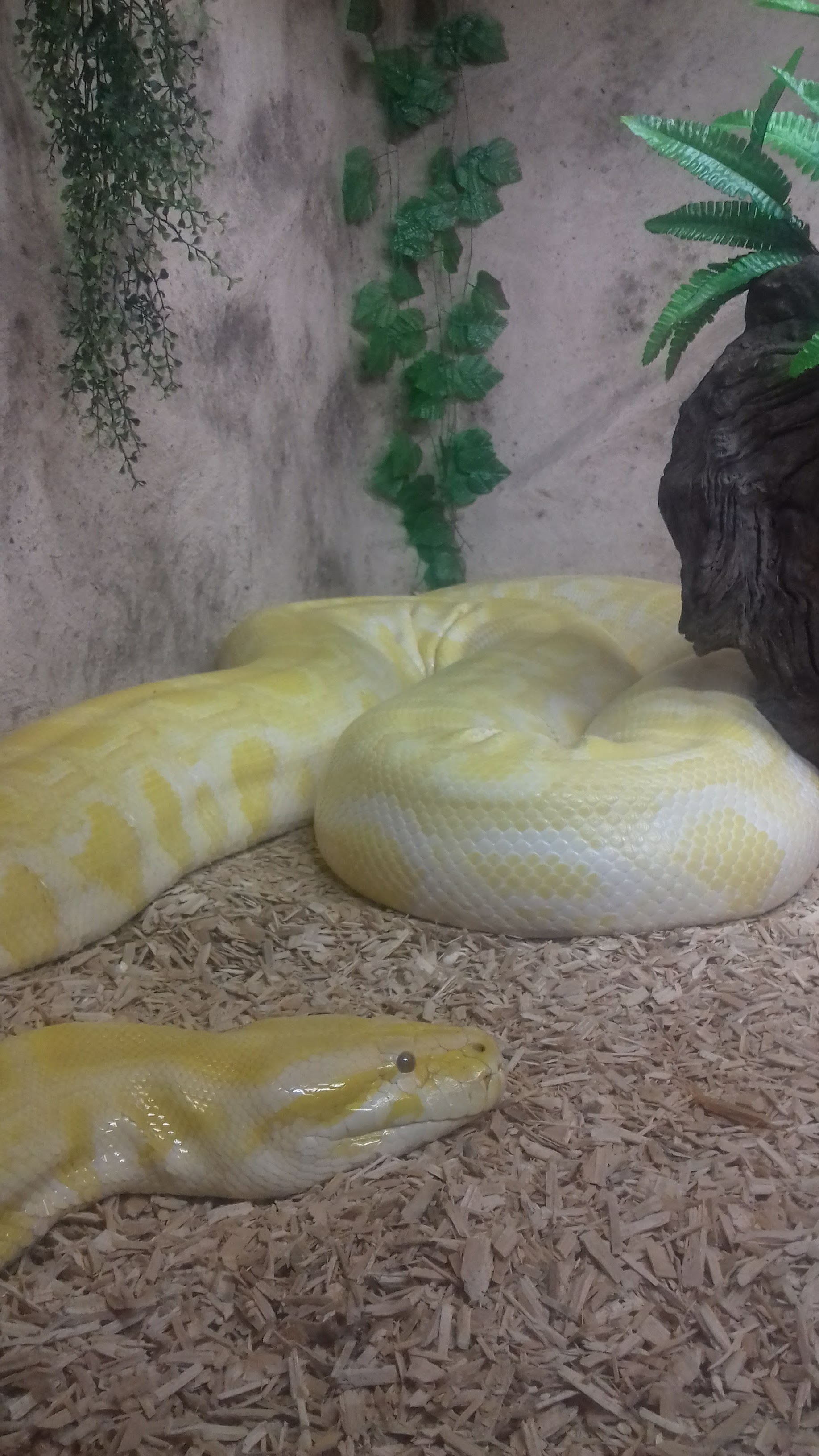 Photo n° 1 de l'avis de Jennifer.i fait le 24/06/2018 à 13:24