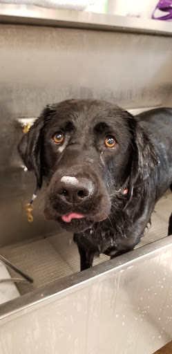 Pet Supply Store «Lemos Feed & Pet Supply», reviews and photos, 1320 Main St, Morro Bay, CA 93442, USA