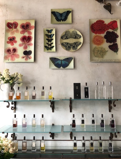 Gift Shop «Essenza Inc», reviews and photos, 615 N 35th St, Seattle, WA 98103, USA