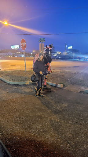 Tack Shop «Golden Horseshoe Tack Shop Inc», reviews and photos, 319 N Central Ave, Eureka, MO 63025, USA