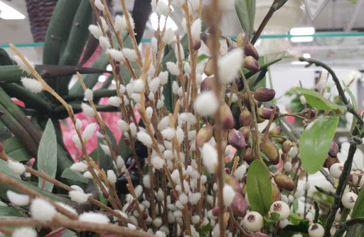 Craft Store «Michaels», reviews and photos, 1740 US Hwy 27 S, Sebring, FL 33870, USA