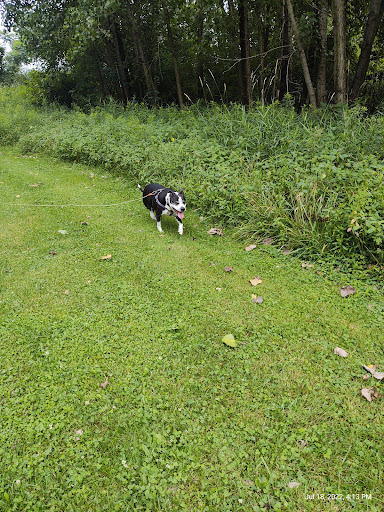 Park «Howe Rd Park», reviews and photos, 988 E Howe Rd, Tallmadge, OH 44278, USA