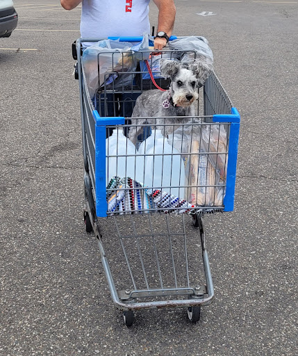 Department Store «Walmart Supercenter», reviews and photos, 320 Mallard Ln, Mason, WV 25260, USA