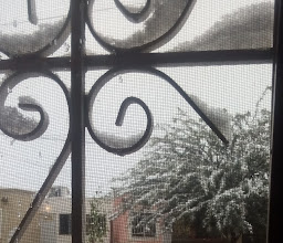 Parque Circuito Arquitectura photo