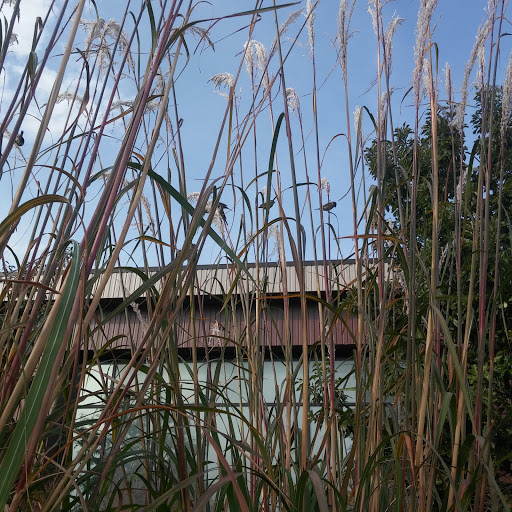 Non-Profit Organization «City Union Mission», reviews and photos