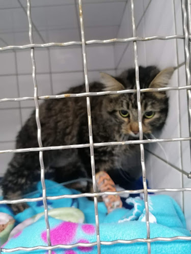 Cabinet vétérinaire Jonckers-Thoumsin